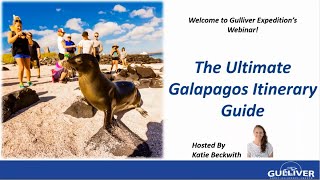 The Ultimate Galapagos Itinerary Guide