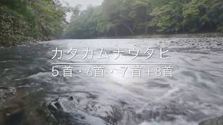 カタカムナウタヒ5首6首7首プラス8首