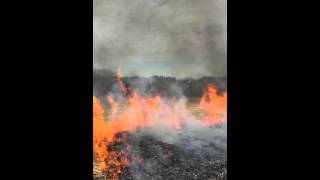 Prescribed Burn: Finger of the Flame