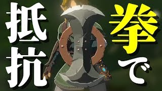 ライネルの盾一つあれば『黄金のライネル』を倒せます！！【ゼルダの伝説 ブレス オブ ザ ワイルド】