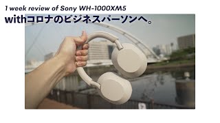 【Sony WH 1000X M5 1週間使用レビュー】M4とは全く別物のヘッドフォンでした。