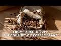 From Farm to Cup: The Journey of Coffee Beans