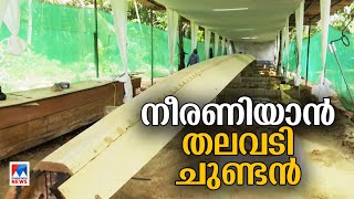 തലവടിക്കാര്‍ക്കിനി സ്വന്തം ചുണ്ടന്‍; താളമേളങ്ങളോടെ ചുണ്ടന്‍ മലര്‍ത്തല്‍ ചടങ്ങ് | Thalavady