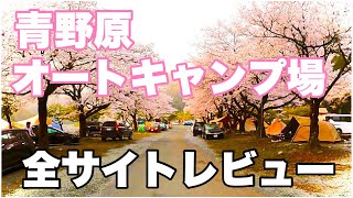 2023年最新【青野原オートキャンプ場詳しく場内案内・紹介】桜満開　お花見キャンプ