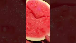 Who is jealous?🤔#youtubeshorts  #trending #food #watermelon #viralvideo #fyp #delicious #fruit