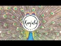 Marioo & Platform - Ananipenda, Wellz AfroStyle ReMix[Kunjufu Beats Visualizer]