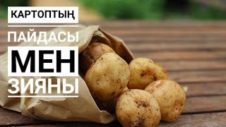 Картоптың пайдасы мен зияны