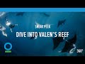 Sneak Peek: Dive into Valen's Reef (360 video) | Conservation International (CI)