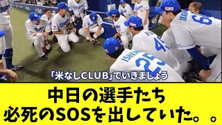 中日の選手たち　白米提供禁止に必死のSOSを出していた。。【2chなんj反応】