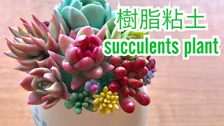 【樹脂粘土】樹脂粘土で多肉植物 エケベリア編