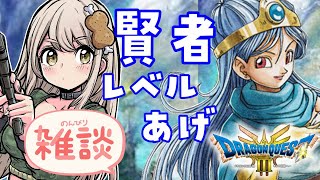 【雑談】賢者の育成してくよ～！【おりりん. #新人vtuber 】【#ドラクエ3リメイク 】※ネタバレあり