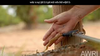 Drip irrigation maintenance- Punjabi captions ਤੁਪਕਾ ਸਿੰਚਾਈ ਦੀ ਸਾਂਭ-ਸੰਭਾਲ ਦਾ ਪ੍ਰਦਰਸ਼ਨ ਕਰਨ ਵਾਲੀ ਵੀਡੀਓ