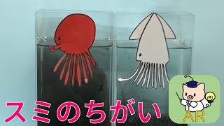 イカとタコのスミの違い！/東大CASTの実験動画/science experiments