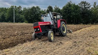 ZETOR 8011 w Orce