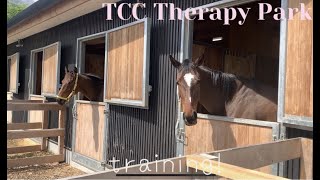 【TCC】ホースシェルターのトレーニング🏃‍♀️【horse shelter】引退競走馬