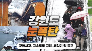 강원도 폭설 피해 요약...학교 74 곳 휴업, 고립, 도로 마비, 인명 피해까지