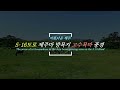 아름다운 제주 5·16도로 제주마 방목지 고수목마 풍경 the scene of a gosumokma in the jeju horse grazing area