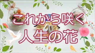 050.eriko耳 💖「これから咲く人生の花」🌸🪷🌹🌻素敵な花が咲きました🌹🪷🌷貴方は美しい花を咲かせます💐💐オラクルカードリーディング👼ルノルマン👑　癒しと希望のリーディング✨🌈♥️🕊️🥰