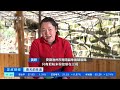 正点财经 春天的味道 安徽池州：清明时节 蒿粑飘香 cctv财经