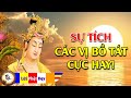 Kể truyện đêm khuya SỰ TÍCH CÁC VỊ BỒ TÁT - CỰC HAY! Phật Pháp Nhiệm Màu