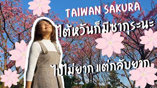 Spring 2021 Welcome Vlog | One day trip for Taiwanese (Sakura) Cherry Blossom + Eat Thai boat noodle