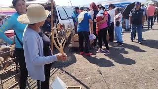 plaza o tianguis de ganado especial de borregos y chivos