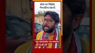 Jignesh Mevani Interview : બંધારણ અને આંબેડર વિશે ભાજપ પર આરોપો મૂકતા જિજ્ઞેશ શું બોલ્યા?