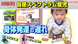 自閉症　赤ちゃん｜運動発達の遅れ｜関連性解説も