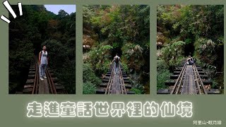 【旅遊系列】【走進童話故事裡的仙境】-阿里山-眠月線