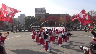 「津々うらら」四日市よさこい2013　市民公園