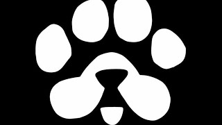 How to Start PAWS Airdrop. How To Get More PAWS Points.