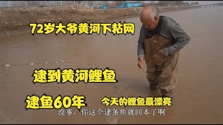 黄河72岁大爷下粘网，黄河逮鱼60年，今天逮的黄河鲤鱼最漂亮