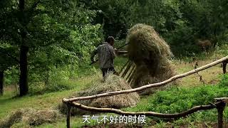 男人自制起重机并打造出霍比特人庇护所#荒野建造 #野外搭建