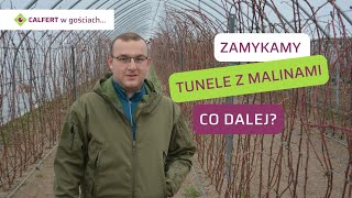 Maliny w tunelach foliowych - program nawożenia i biostymulacji malin na starcie sezonu