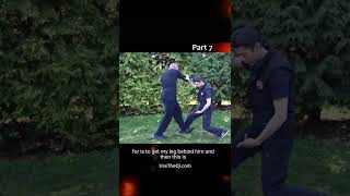Wing Chun vs Mantis Kung Fu Techniques - Part 7 #shorts