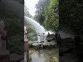 5.29荔波小七孔断桥瀑布 定制旅游 travel 贵州旅游 waterfall 旅行 跟团游 snake 旅游攻略 nature 中国 china