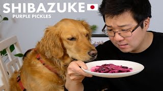 THE LESSER KNOWN JAPANESE FOODS | Ep. 1 Shibazuke Purple Pickles