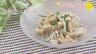 蒸し鶏ともやしの中華風和え物【安くて便利！鶏ムネ料理】