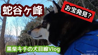 犬と登山 Vol.14 蛇谷ヶ峰