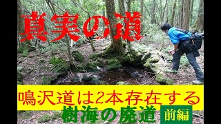 樹海の廃道探索　鳴沢道は2本あった。　前編・本栖道散歩