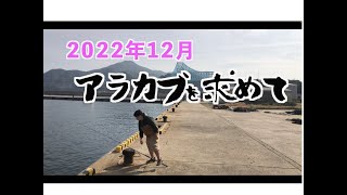 アラカブを求めて平戸出撃