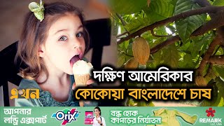 কোকোয়া বীজ কিনতে হর্টিকালচার সেন্টারে ভিড় | Cocoa Farming in Bangladesh | Ekhon TV