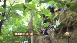 20150415 致富经  财富险中求（上）