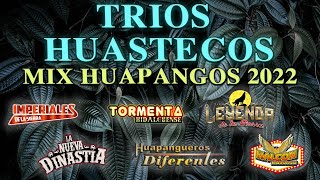 🎻MIX HUAPANGOS HUASTECOS 2022🔥Tríos Halcon Huasteco, Imperiales De La Sierra, La Nueva Dinastia