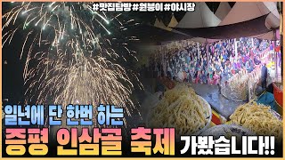 1년에 딱 한번하는 [증평] 인삼골 축제 탐방, 불꽃놀이부터 야시장까지.. 완벽하다