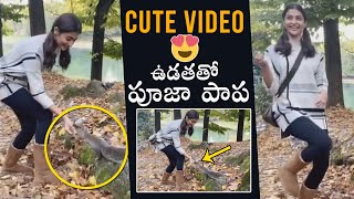 CUTE VIDEO: Pooja Hegde Playing With Squirrel In The Forest | Daily Culture