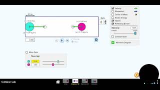 Physics Lab - Simulation Linear Momentum