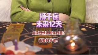 狮子座，未来12天，这段感情该如何挽回？该如何突破？ #塔罗牌 #情感塔罗 #塔罗测试