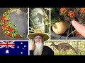 Aussie 1/2 Acre Homestead Organic Garden Tour. 1 Week from Winter.