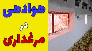 انواع هوادهی در پرورش مرغ گوشتی